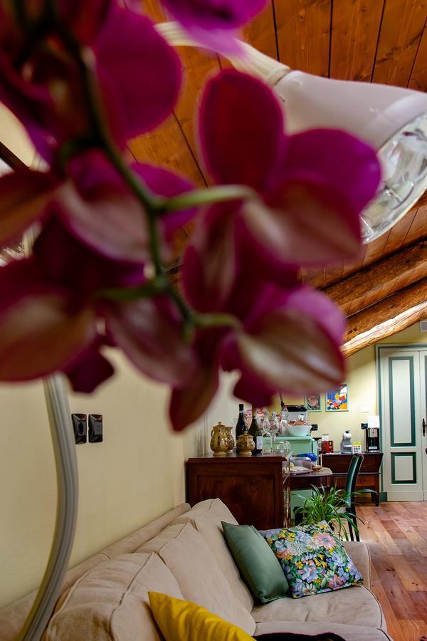 Magliano Alfieri Ca D'I. Bed & Breakfast エクステリア 写真